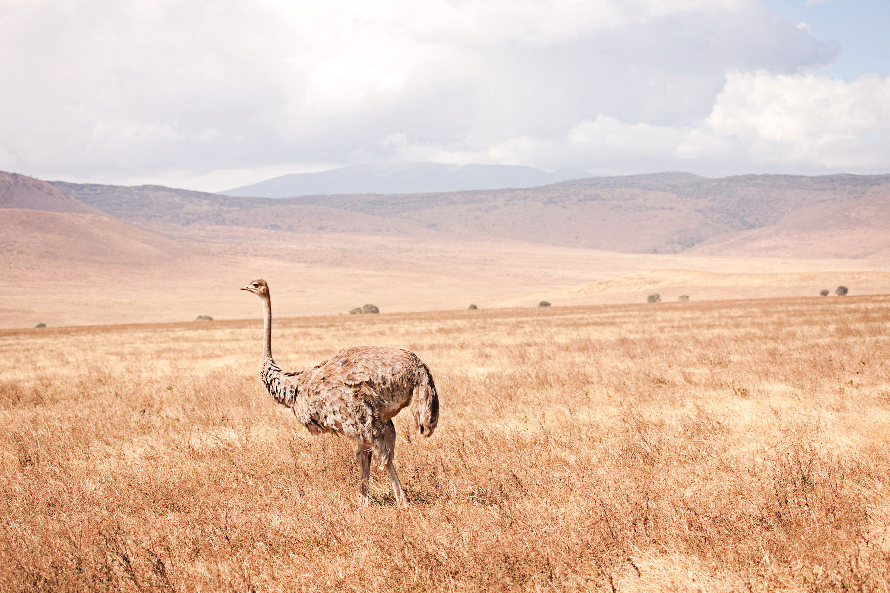 VG_TravelAdventure_054