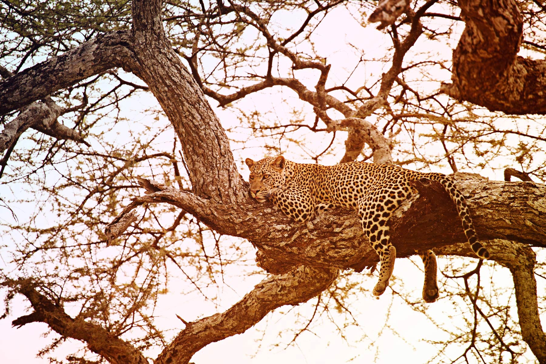 VG_TravelAdventure_055